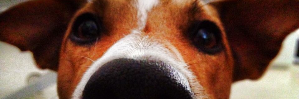 bizzione_'s profile banner image
