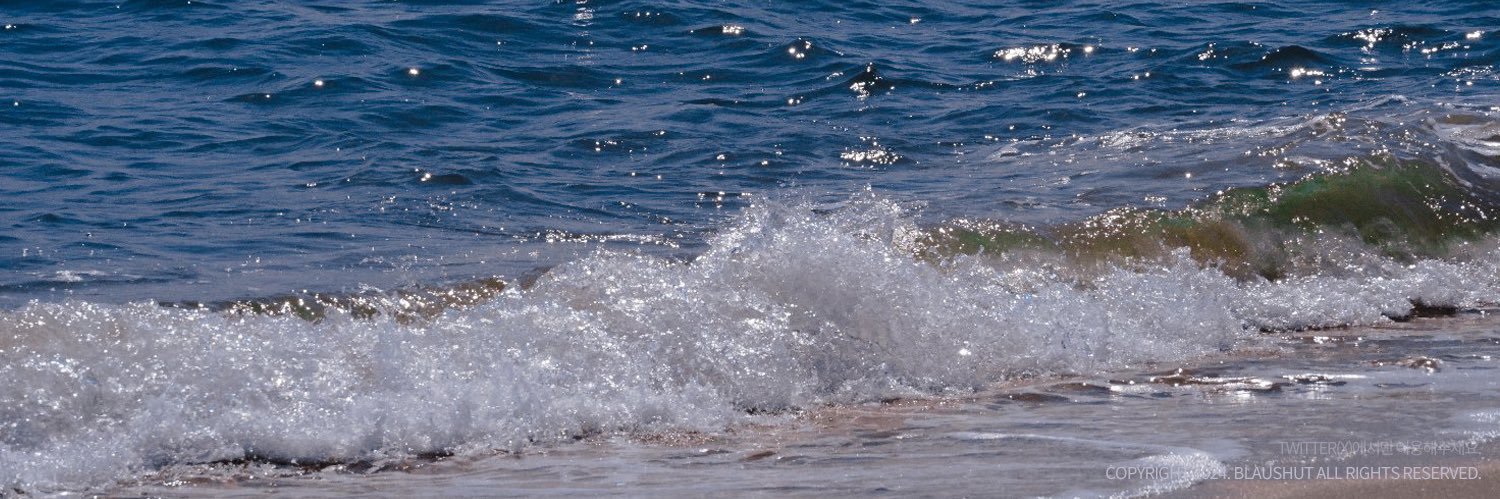 센빠이누(오) banner