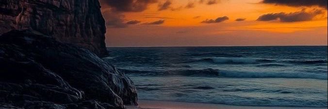 Dolfinlover's profile banner image