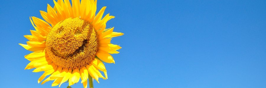 SarSulTha's profile banner image