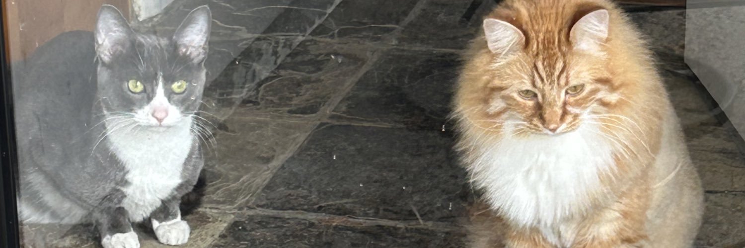 amberrisc's profile banner image