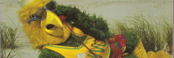 UNCW Barstool banner