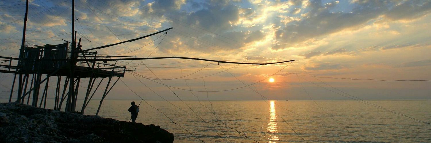 Daniela Fumarola banner