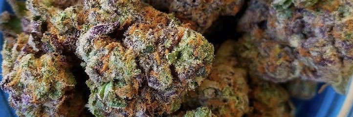 chainsmokeWEED's profile banner image