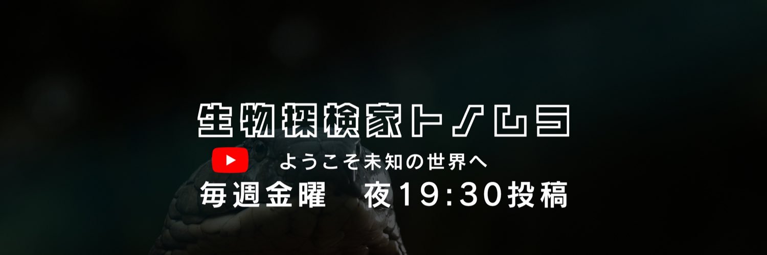 生物探検家トノムラ banner