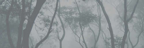 jasoncgdrs's profile banner image