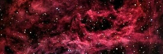 BigotesdeOdin's profile banner image