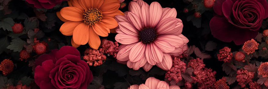 GVictoriaaBC's profile banner image