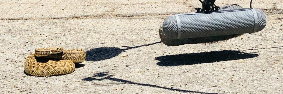 Wine & Spirits Daily banner