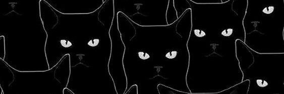 dilekkmrr's profile banner image