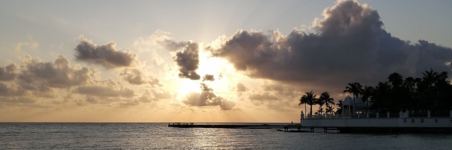 DOMOOJuuAreez's profile banner image