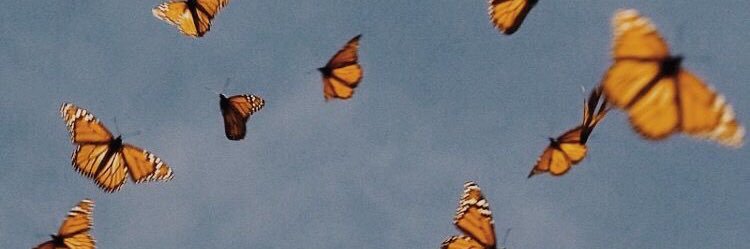 DebTallon's profile banner image