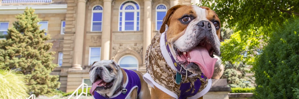 WIUHomecoming's profile banner image