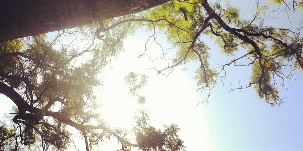 AgustinaBertini's profile banner image