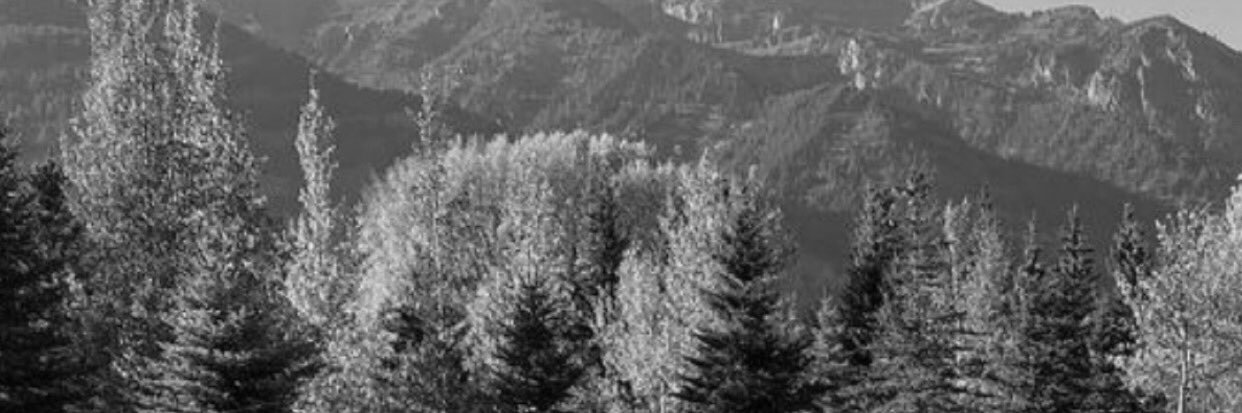 iAhmd35's profile banner image