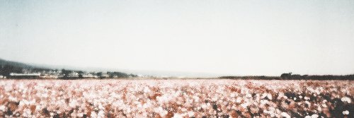 thirlwallshvgdr's profile banner image