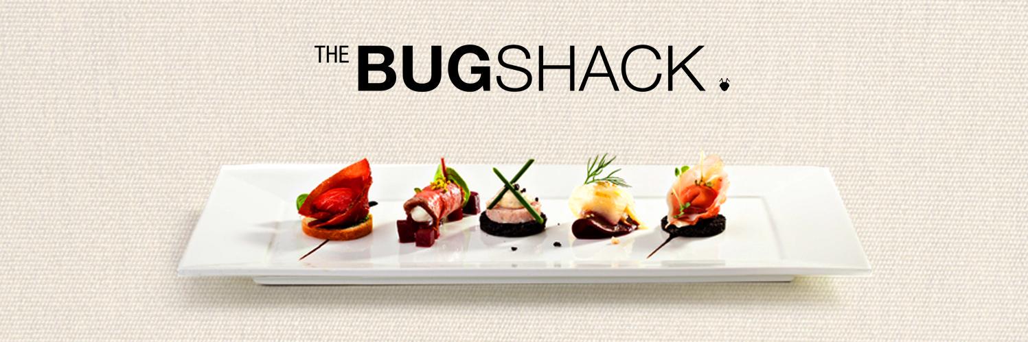 TheBugShack's profile banner image