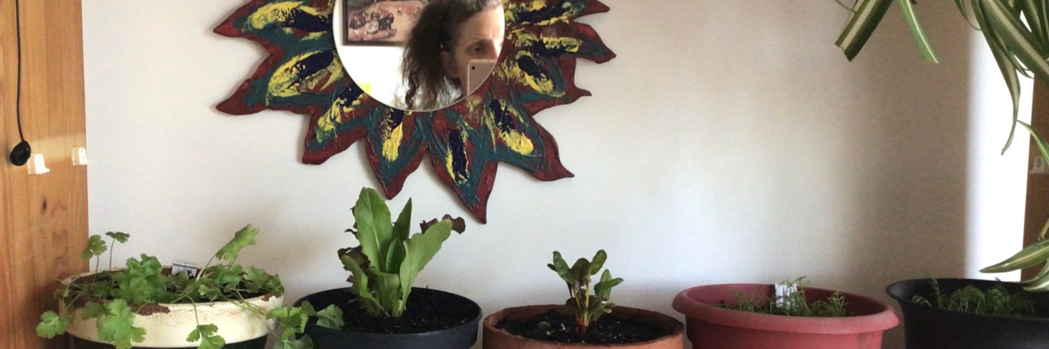 janine bandcroft 🌱🍉💚 banner