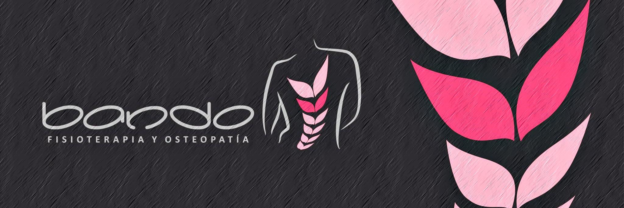 Fisioterapia Bando banner