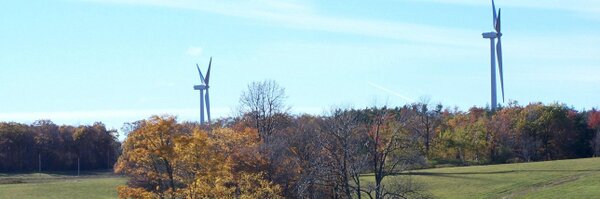 loondale Profile Banner