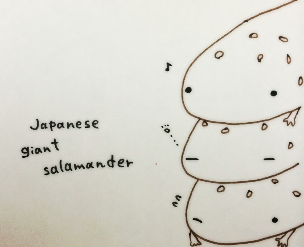 ks_fsh's profile banner image