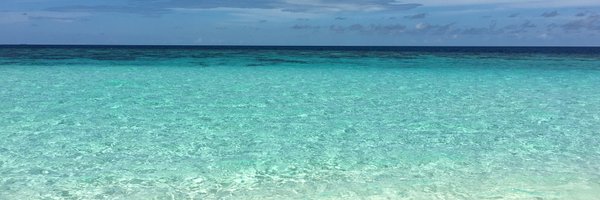 dariaferro Profile Banner