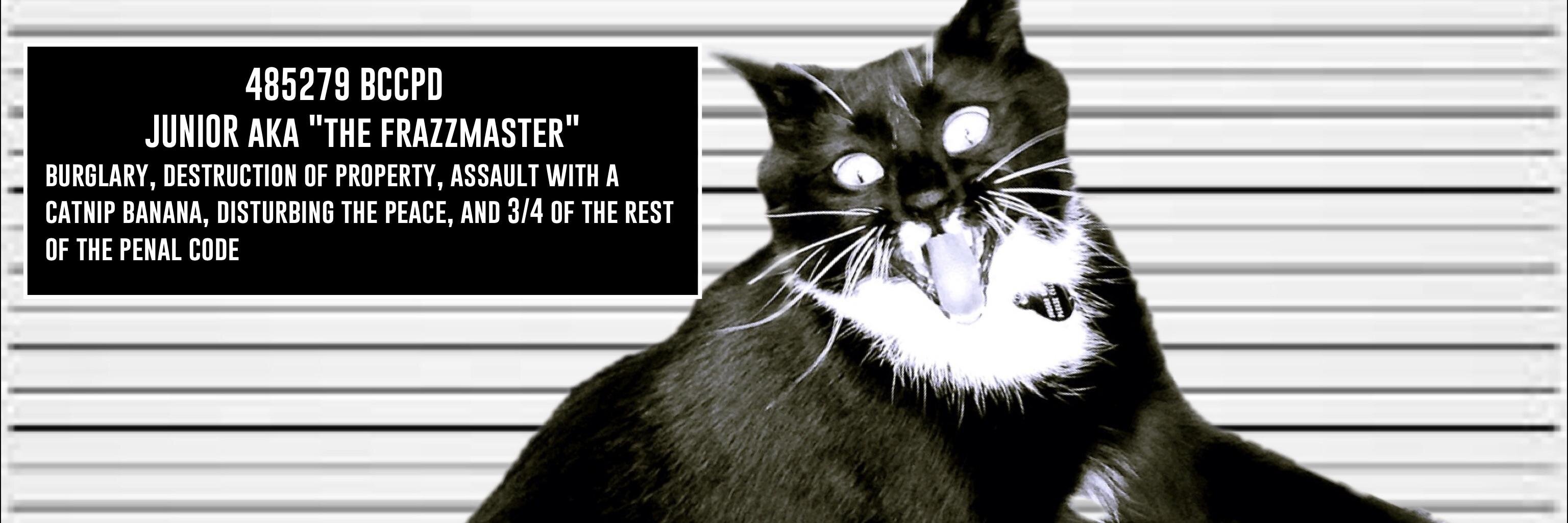 BlackCatFrazz's profile banner image