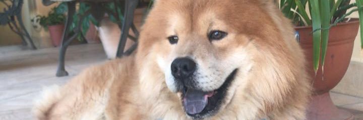crberlioz's profile banner image