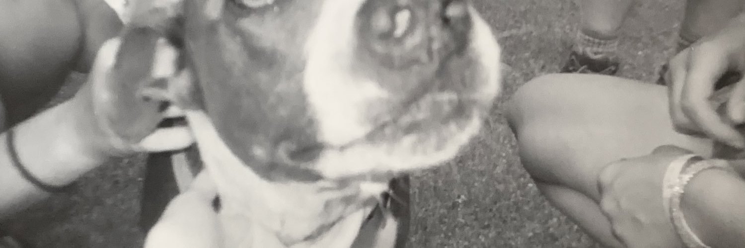 d0gblessyou's profile banner image