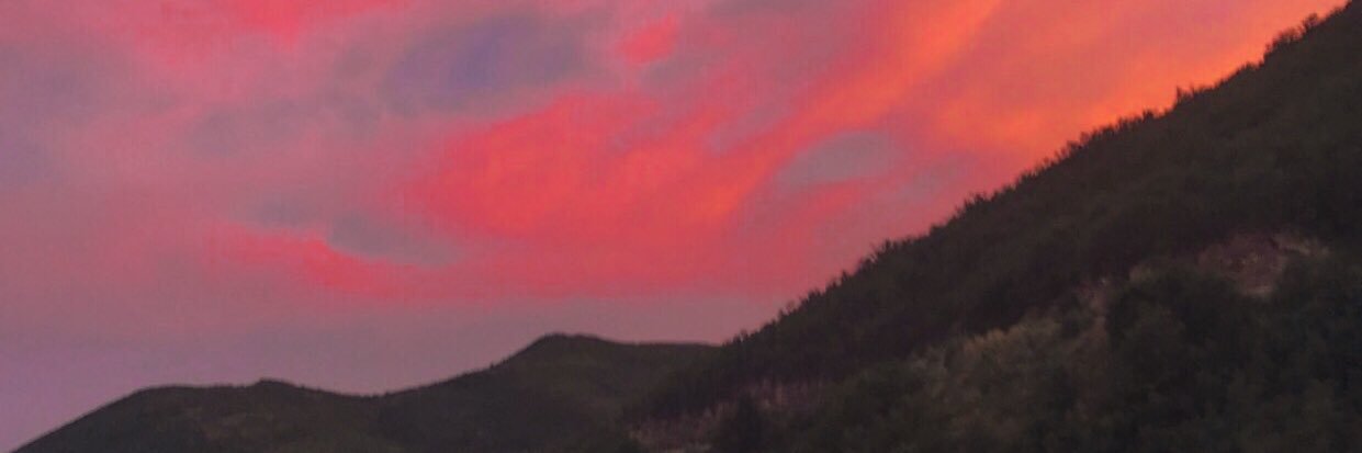 abbiedarais's profile banner image