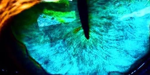AllisonCutler1's profile banner image