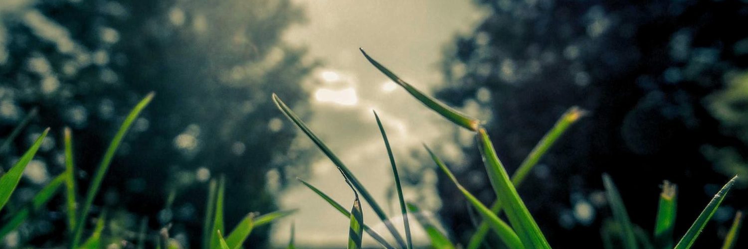 ____usotsuki's profile banner image