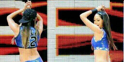 NikkiBella02__'s profile banner image