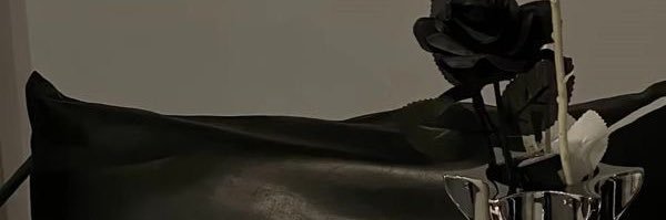iniaenna's profile banner image
