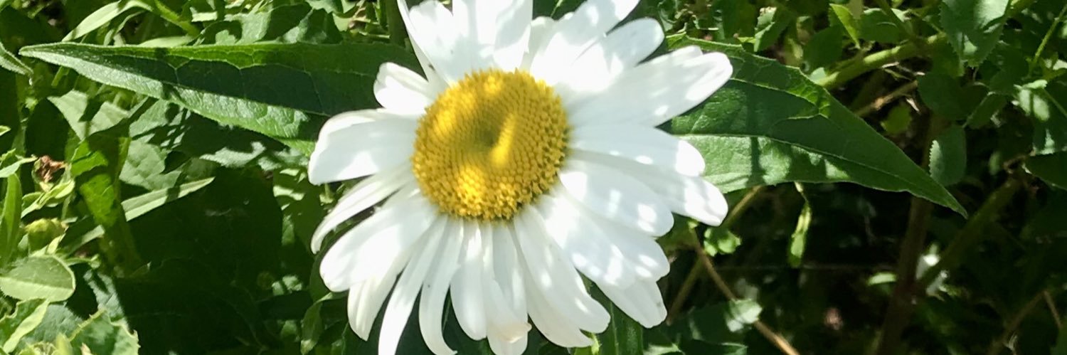 DekotaGardner's profile banner image