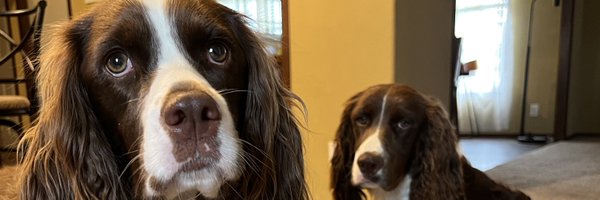 gabbbiii2 Profile Banner