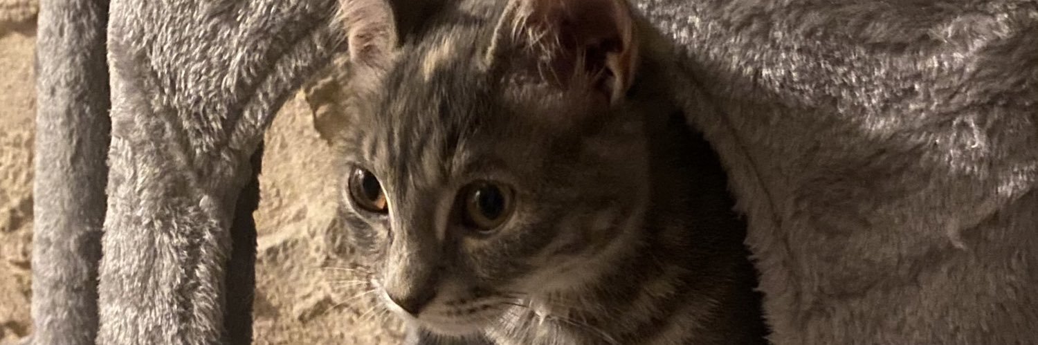 AxelGuyon_'s profile banner image