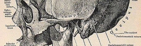 Obivankeno's profile banner image
