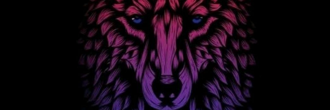 AVOColon's profile banner image
