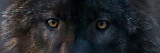 Sharylfriendp's profile banner image