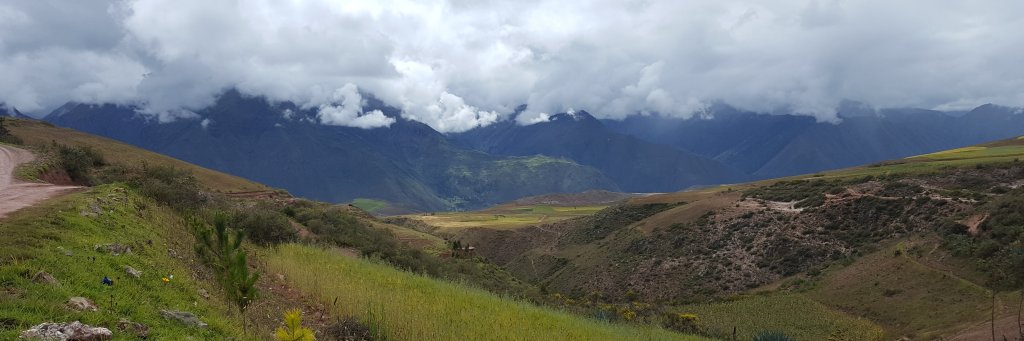 R Stewart Thompson banner