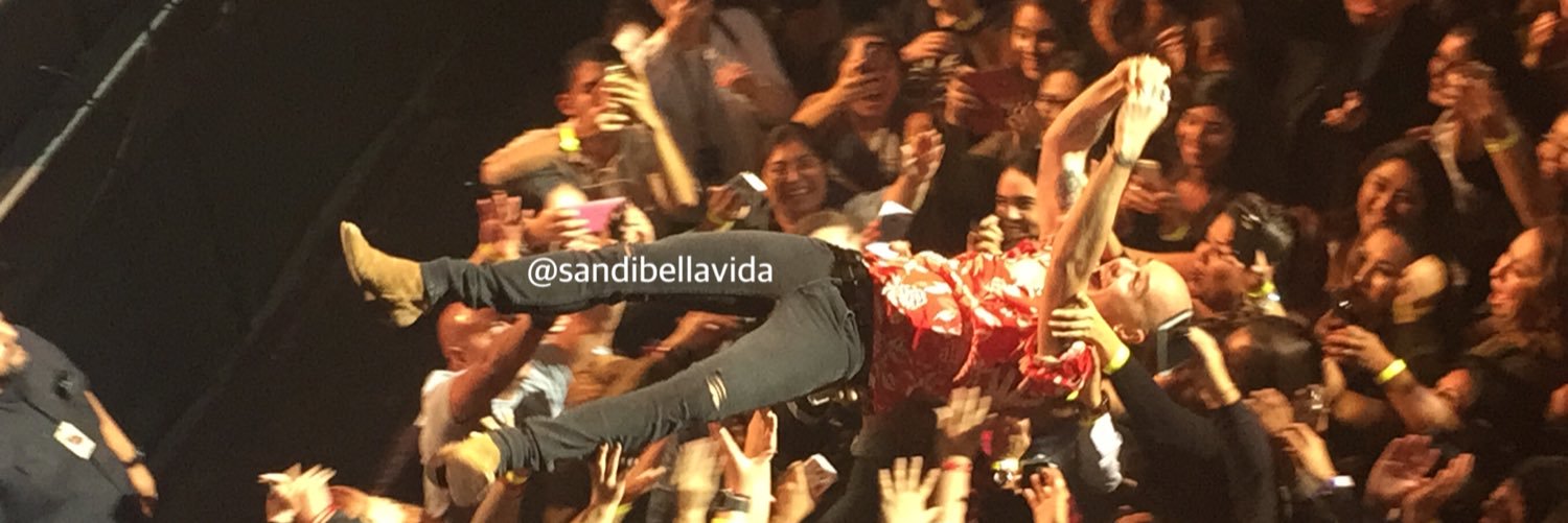 sandibellavida's profile banner image