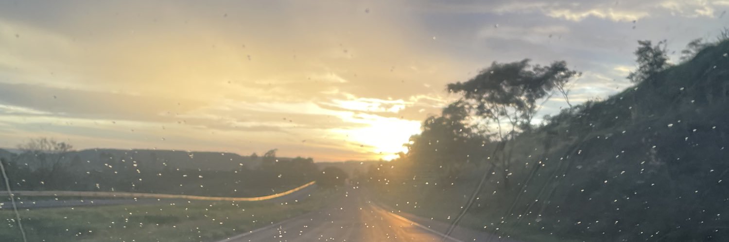 junetehenriques's profile banner image