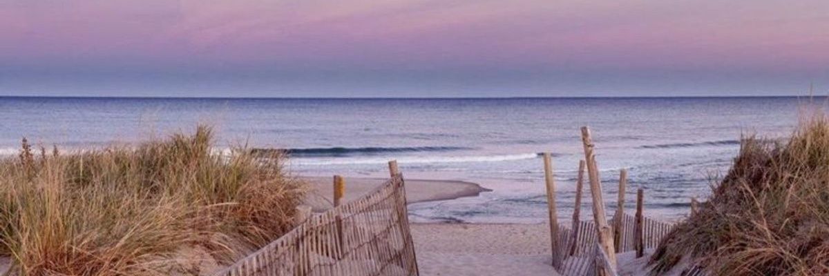 Pink🤏🏻Monster💞 banner