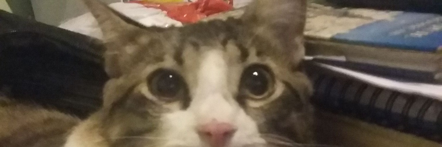 samarantos's profile banner image