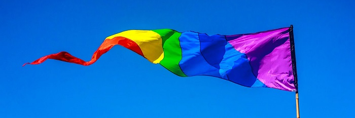 adolfinhu banner