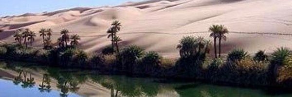 mohamedyunisali Profile Banner