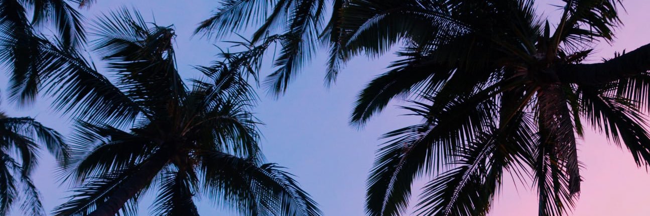theycallmekali's profile banner image