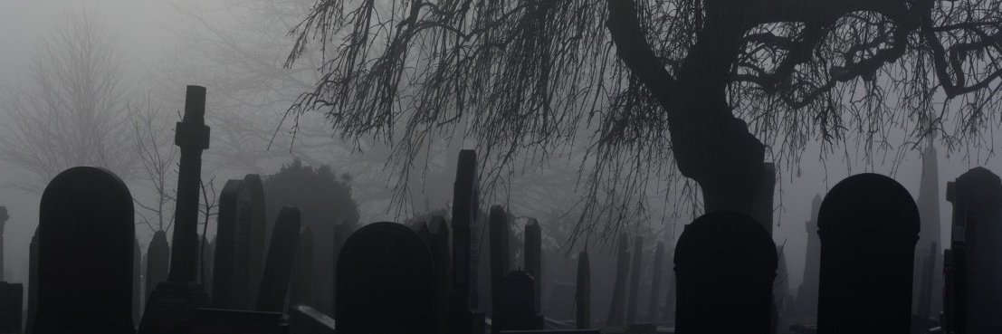 ✦ Not super active ~ On Bsky instead ✦ banner