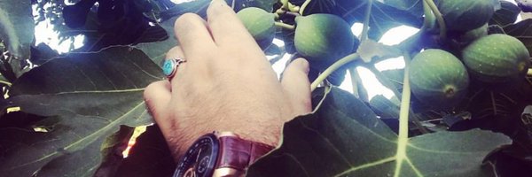 amiralisafa Profile Banner